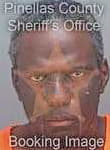 Brown Ken - Pinellas County, FL 