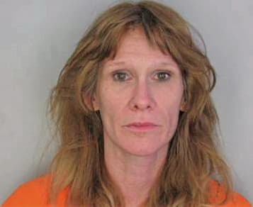 Goff Lisa - Hillsborough County, FL 