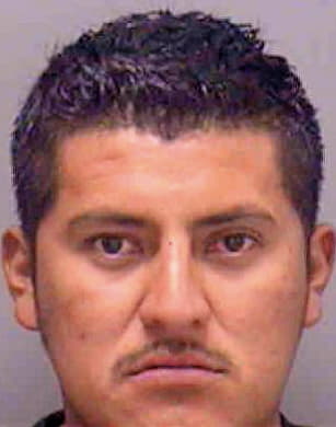 Sanchez Alejandro - Lee County, FL 