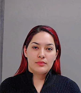 Chavez Priscilla - Hidalgo County, TX 
