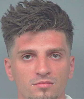 Avdic Anaid - Gwinnett County, GA 