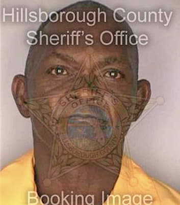 Briscoe Lewis - Hillsborough County, FL 
