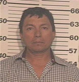 Ambriz Manuel - Hidalgo County, TX 