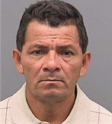 Ramirez Onecimo - Hillsborough County, FL 