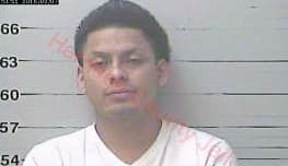 Medellin Sergio - Harrison County, MS 