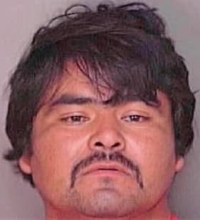 Deleon-Martinez Jacinto - Polk County, FL 