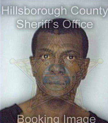 Anderson Leroy - Hillsborough County, FL 