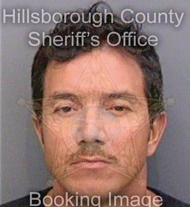 Davis Mark - Hillsborough County, FL 
