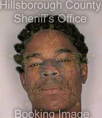 Kinsler Antonio - Hillsborough County, FL 