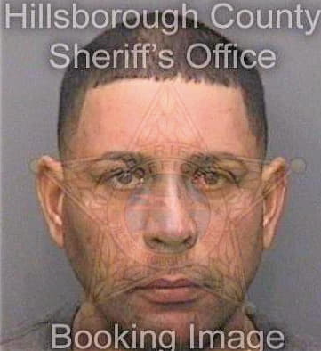 Alamohernandez Dimas - Hillsborough County, FL 