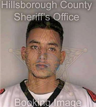 Guevara Ricardo - Hillsborough County, FL 