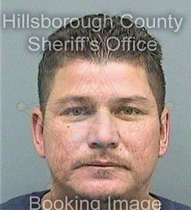 Gomez Jose - Hillsborough County, FL 