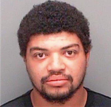 Deluco Nathan - Pinellas County, FL 