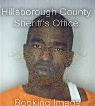 Adkins Nathaniel - Hillsborough County, FL 