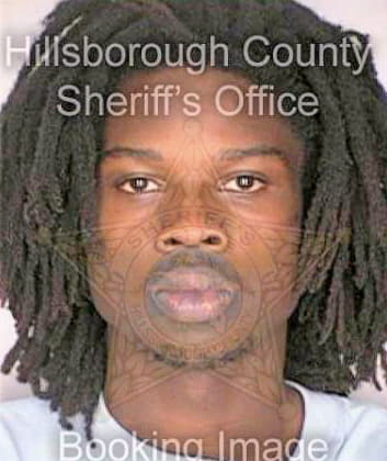 Buie Andre - Hillsborough County, FL 