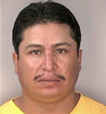 Cuellar Fernando - Hillsborough County, FL 