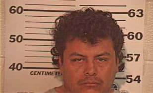 Gonzalez Juan - Hidalgo County, TX 