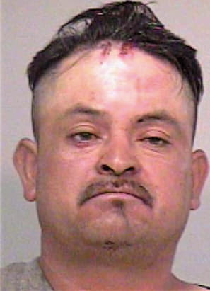 Mata Luis - Madera County, CA 