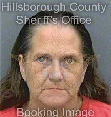Stewart Allison - Hillsborough County, FL 