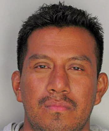 Rosariodiaz Armando - Hillsborough County, FL 