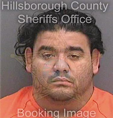 Quinonezbogran Moises - Hillsborough County, FL 