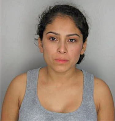 Rivera Monica - Hillsborough County, FL 