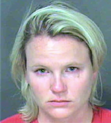 Wilson Alison - Mecklenburg County, NC 