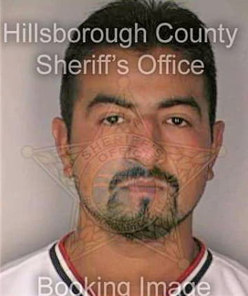 Medina Alvaro - Hillsborough County, FL 