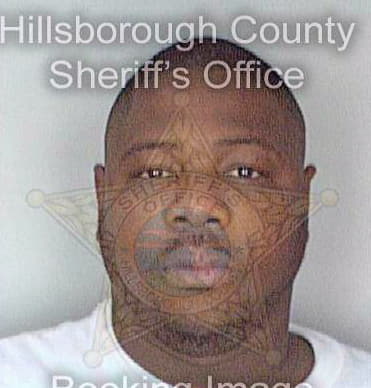 Owens Dennis - Hillsborough County, FL 