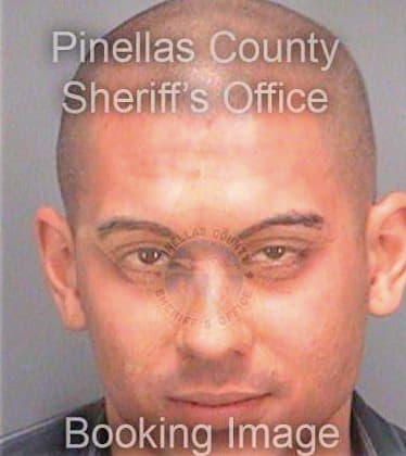 Hoshowski Michael - Pinellas County, FL 