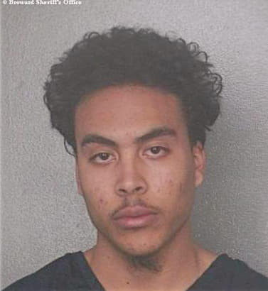 Chang Mikhail - Broward County, FL 