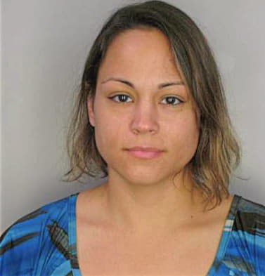 Fernandes Stephania - Hillsborough County, FL 