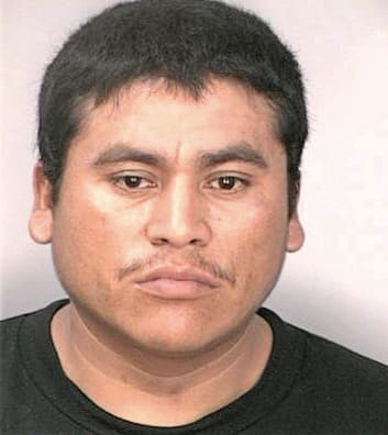 Ochoaalvarez Alfredo - Hillsborough County, FL 