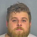 Hansen Dylan - Greene County, MO 