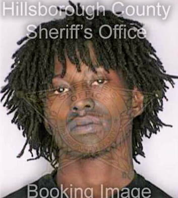 Williams Kenneth - Hillsborough County, FL 