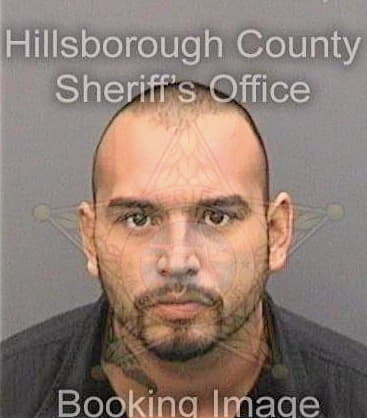 Garza Daniel - Hillsborough County, FL 