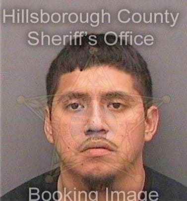 Francisco Manuel - Hillsborough County, FL 