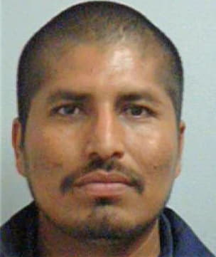 Lujan Margarito - Henry County, GA 