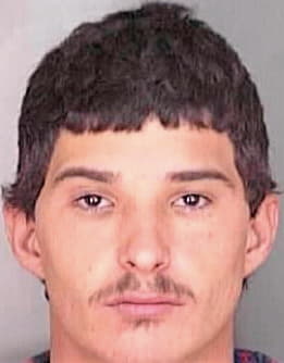 Dorminey Matthew - Polk County, FL 