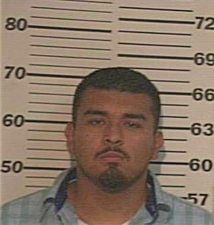 Paniagua Mike - Hidalgo County, TX 