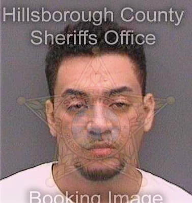 Morales Patrick - Hillsborough County, FL 