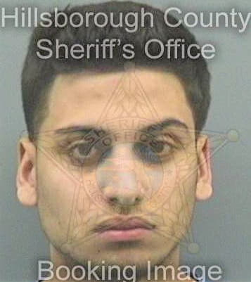 Arroyo John - Hillsborough County, FL 