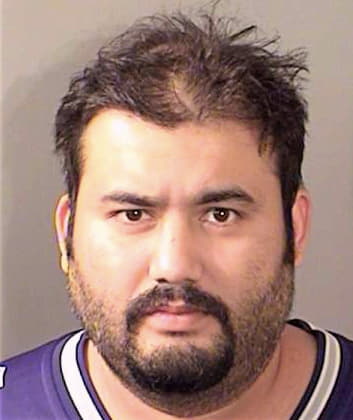 Basnet Roman - Denton County, TX 
