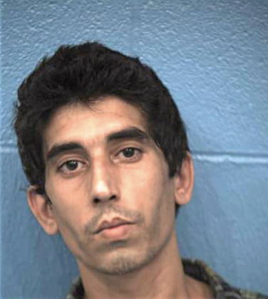 Shoghi Damoun - Williamson County, TX 