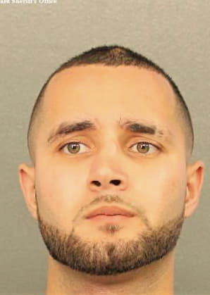 Hernandez Emmanuel - Broward County, FL 