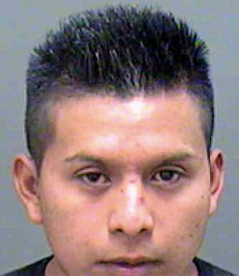 Martinez Luis - Mecklenburg County, NC 