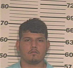 Gonzalez Rolando - Hidalgo County, TX 