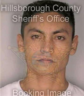 Millan Daniel - Hillsborough County, FL 