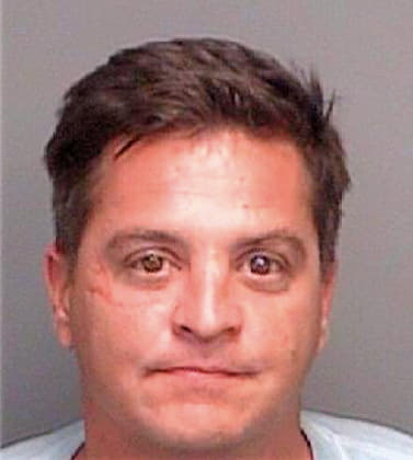 Demers Scott - Pinellas County, FL 