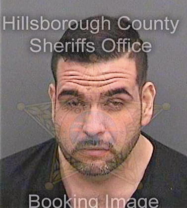 Munozruiz Juan - Hillsborough County, FL 